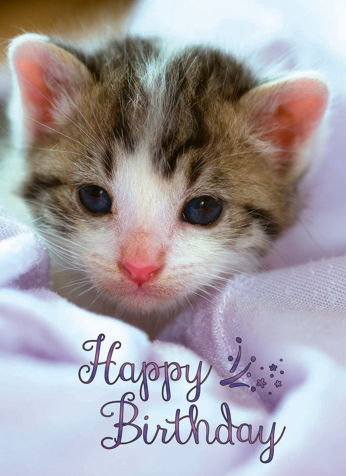 Card Design 4
Front Message - Happy Birthday