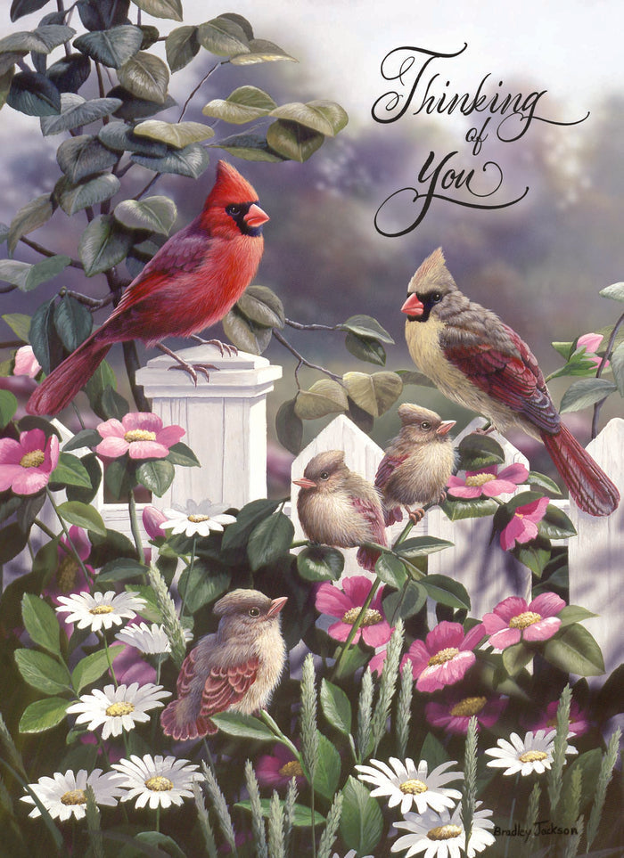 Christian Thinking of You Cards by Shared Blessings, Signs of Spring - Box of 12 Cards and Envelopes