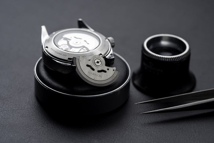 DIY WATCH CLUB Custom Rotor for Seiko mod & DWC Seiko