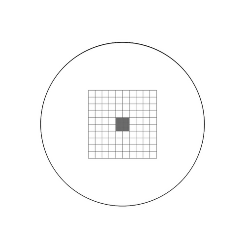10x10mm/10x10 Net Grid, 2x2mm/20x20 Net Grid Net Grid Reticle ( Dia. 24mm), SKU RT20105164, three quarter front view