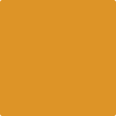 2155-20: Gold Mine  a paint color by Benjamin Moore avaiable at Clement's Paint in Austin, TX.