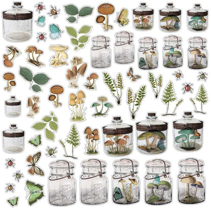 49 & Market Nature Study Acetate Shapes