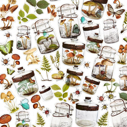 49 & Market Nature Study Acetate Shapes