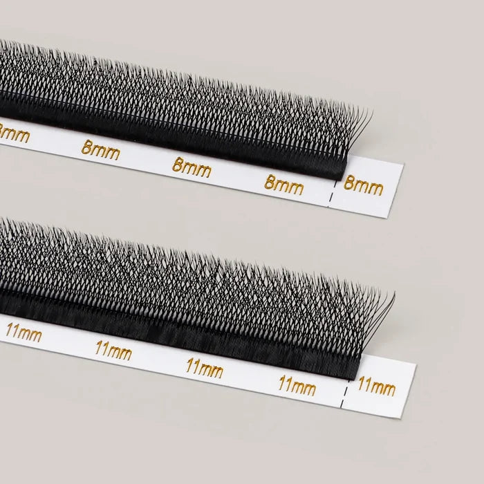 5D W-Shape Clover Lashes 0.07mm| Swaniya Lashes