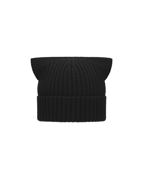 ACCEPTANCE EARS KNIT BEANIE