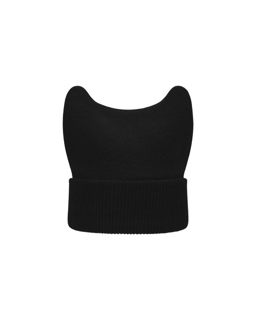 ACCEPTANCE EARS SPLICED BEANIE