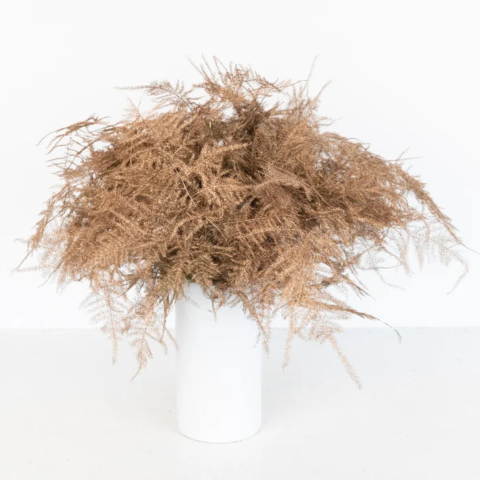 Amber Enhanced Plumosa Fern Greenery Vase - Image
