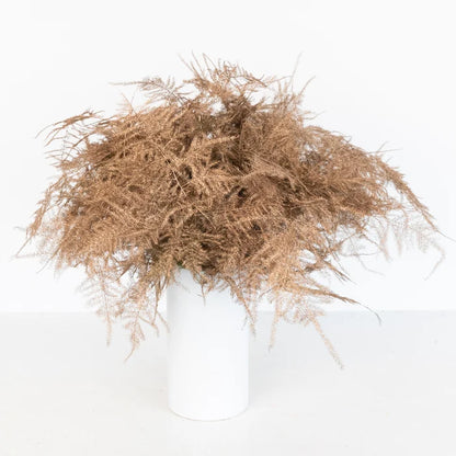 Amber Enhanced Plumosa Fern Greenery Vase - Image