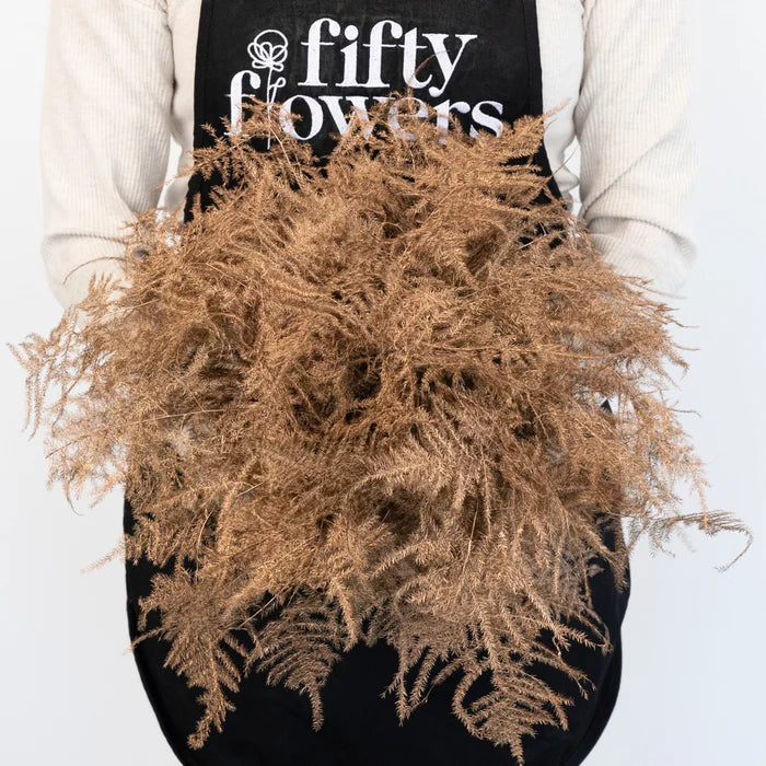 Amber Enhanced Plumosa Fern Greenery Apron - Image