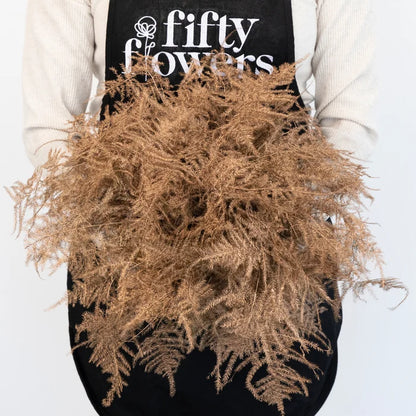 Amber Enhanced Plumosa Fern Greenery Apron - Image