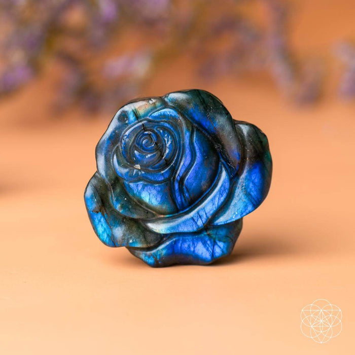 Beautifully Unique - Blossoming Rose of Singularity