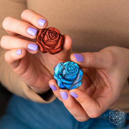 Beautifully Unique - Blossoming Rose of Singularity