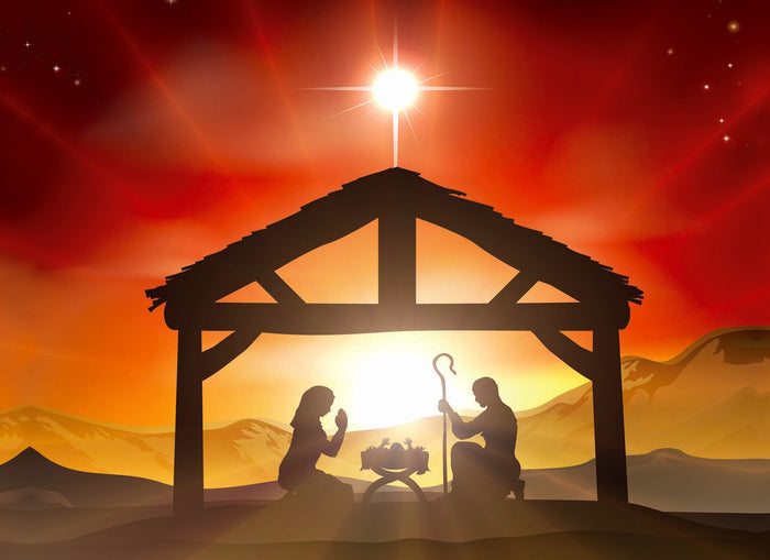 Boxed Christmas Cards - Peace on Earth