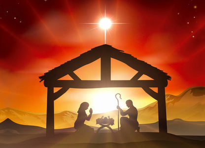 Boxed Christmas Cards - Peace on Earth
