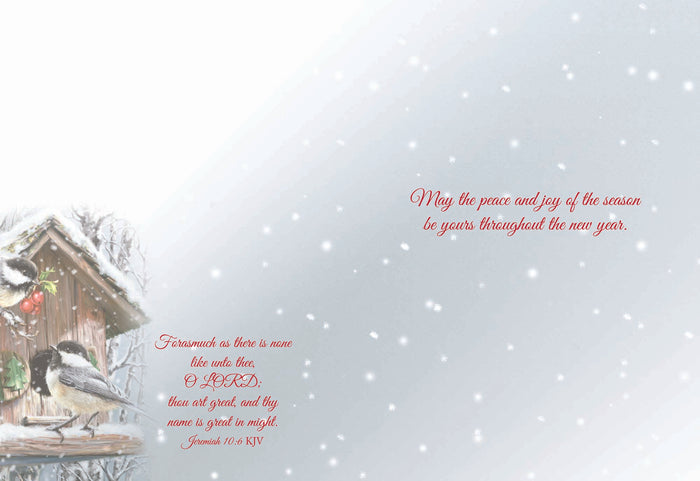Boxed Christmas Cards - Winter Birds II