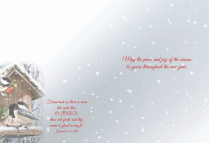 Boxed Christmas Cards - Winter Birds II