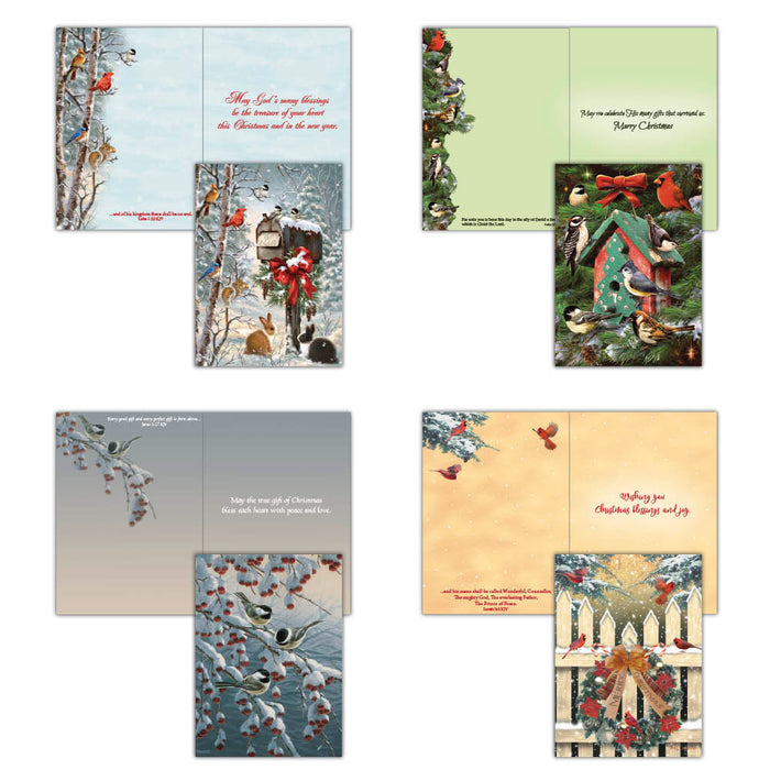Boxed Christmas Cards - Winter Birds