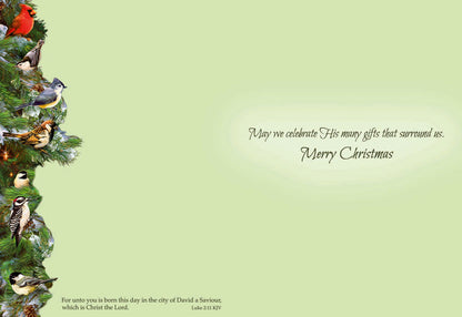 Boxed Christmas Cards - Winter Birds