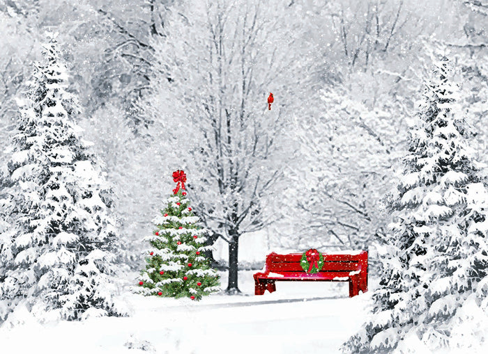 Boxed Christmas Cards - Winter Wonderland