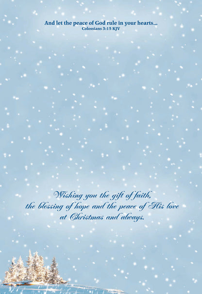 Boxed Christmas Cards-Beauty of the Season