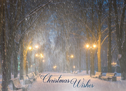 Boxed Christmas Cards-Beauty of the Season