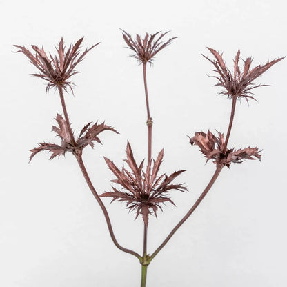 Bronze Rose Gold Tinted Thistle Flower