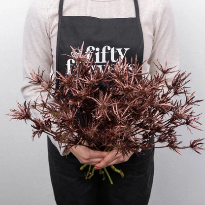 Bronze Rose Gold Tinted Thistle Flower