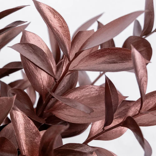 Bronzed Rose Gold Metallic Ruscus Close Up - Image