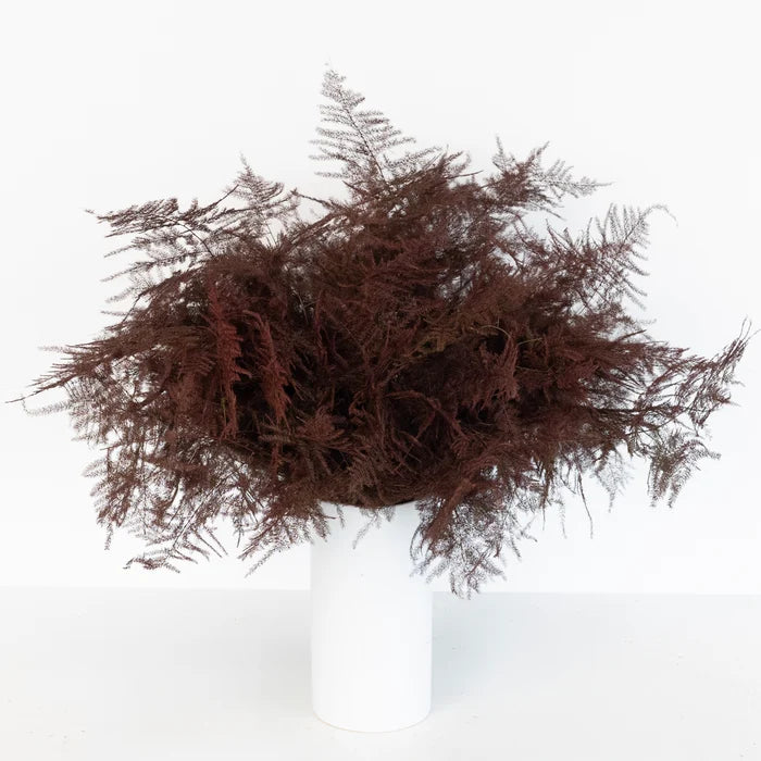 Brown Enhanced Plumosa Fern Greenery Vase - Image