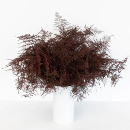 Brown Enhanced Plumosa Fern Greenery Vase - Image