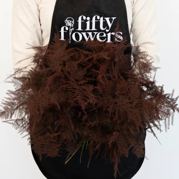 Brown Enhanced Plumosa Fern Greenery Apron - Image