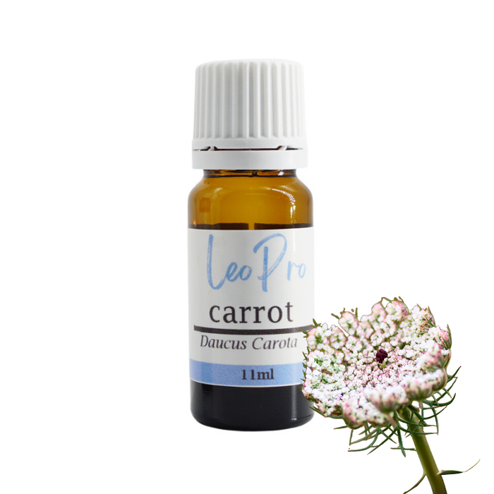 Carrot Essential Oil 11ml -  Daucus Carota