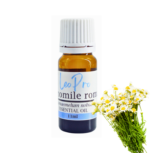 Chamomile 10% Oil 11ml