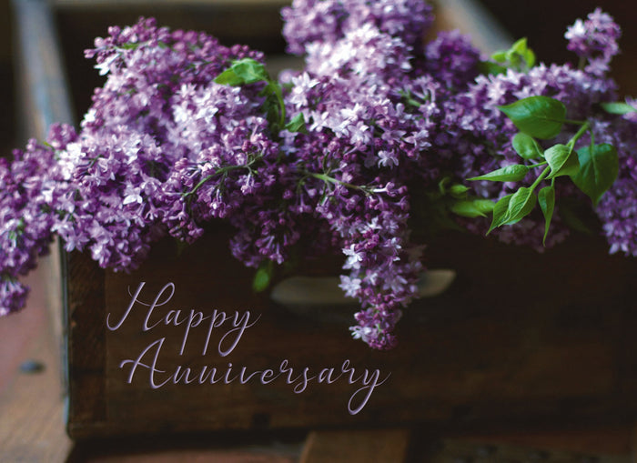 Christian Anniversary Cards by Shared Blessings | Anniversary Blessings | 12 Boxed Anniversary Cards with KJV Scripture