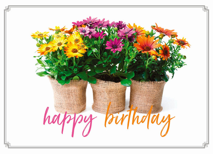 Card Design 4 Front Message - Happy Birthday