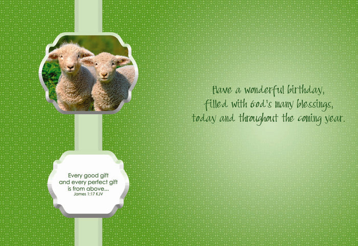 Inside Scripture - Every good gift and every perfect gift is from above... -James 1:17 KJV