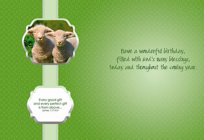Inside Scripture - Every good gift and every perfect gift is from above... -James 1:17 KJV