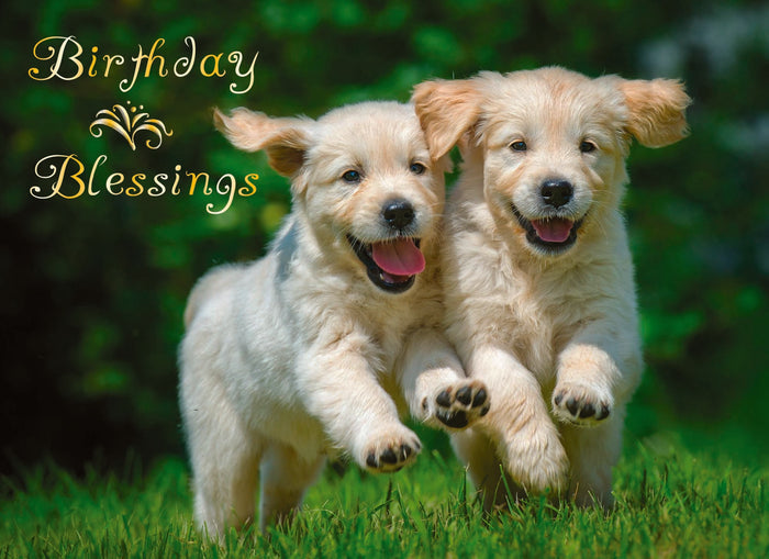 Card Design 3

Front Message - Birthday Blessings