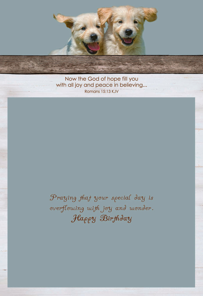 Inside Scripture - Now the God of hope fill you with all joy and peace in believing... -Romans 15:13 KJV