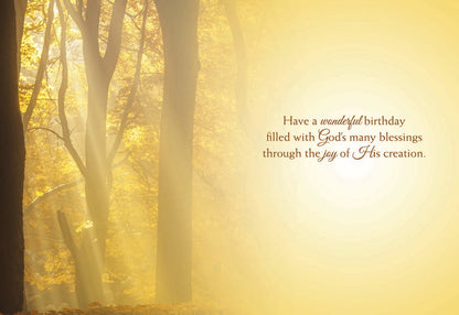 Christian Birthday Cards by Shared Blessings- Rays of Light, Box of 12 Cards