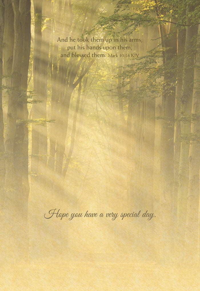 Christian Birthday Cards by Shared Blessings- Rays of Light, Box of 12 Cards