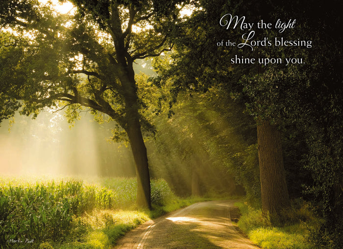 Christian Birthday Cards by Shared Blessings- Rays of Light, Box of 12 Cards