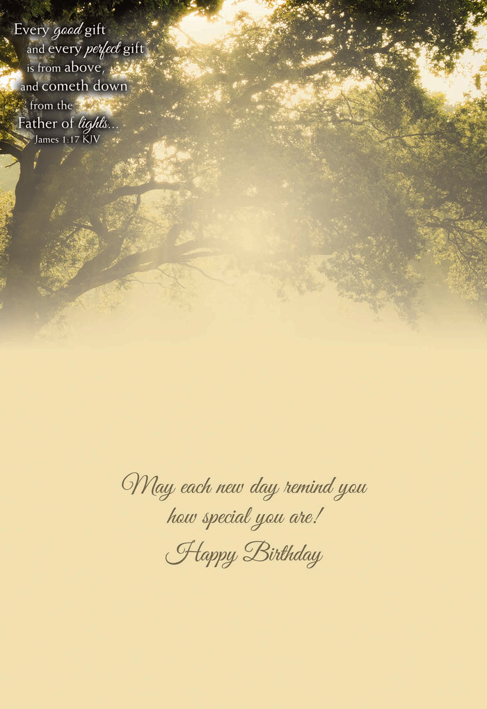 Christian Birthday Cards by Shared Blessings- Rays of Light, Box of 12 Cards
