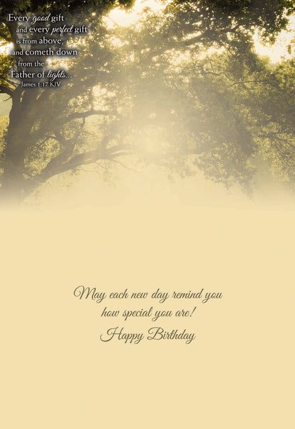 Christian Birthday Cards by Shared Blessings- Rays of Light, Box of 12 Cards