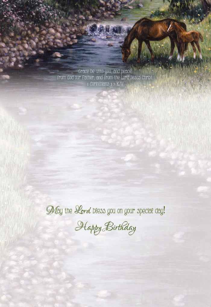 Christian Birthday Cards by Shared Blessings-Beginnings, 12 Cards