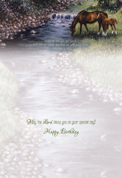 Christian Birthday Cards by Shared Blessings-Beginnings, 12 Cards
