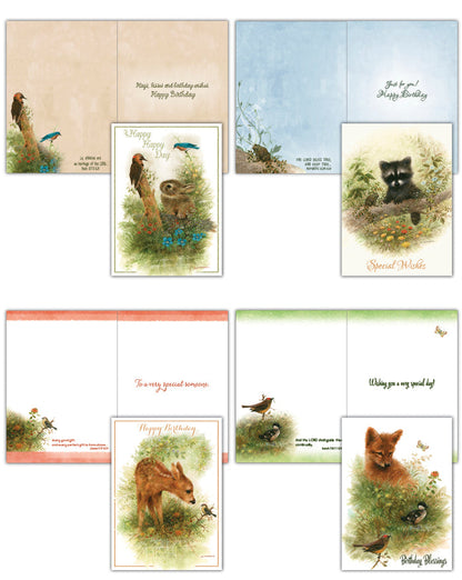 Christian Birthday Cards by Shared Blessings-Wee Wildlife, 12 Boxed Greeting Cards