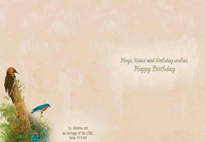 Christian Birthday Cards by Shared Blessings-Wee Wildlife, 12 Boxed Greeting Cards