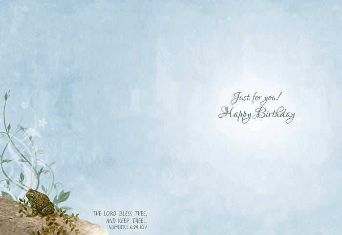 Christian Birthday Cards by Shared Blessings-Wee Wildlife, 12 Boxed Greeting Cards