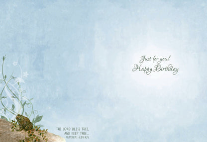 Christian Birthday Cards by Shared Blessings-Wee Wildlife, 12 Boxed Greeting Cards